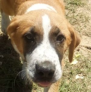 Meet your Posher, Kailah